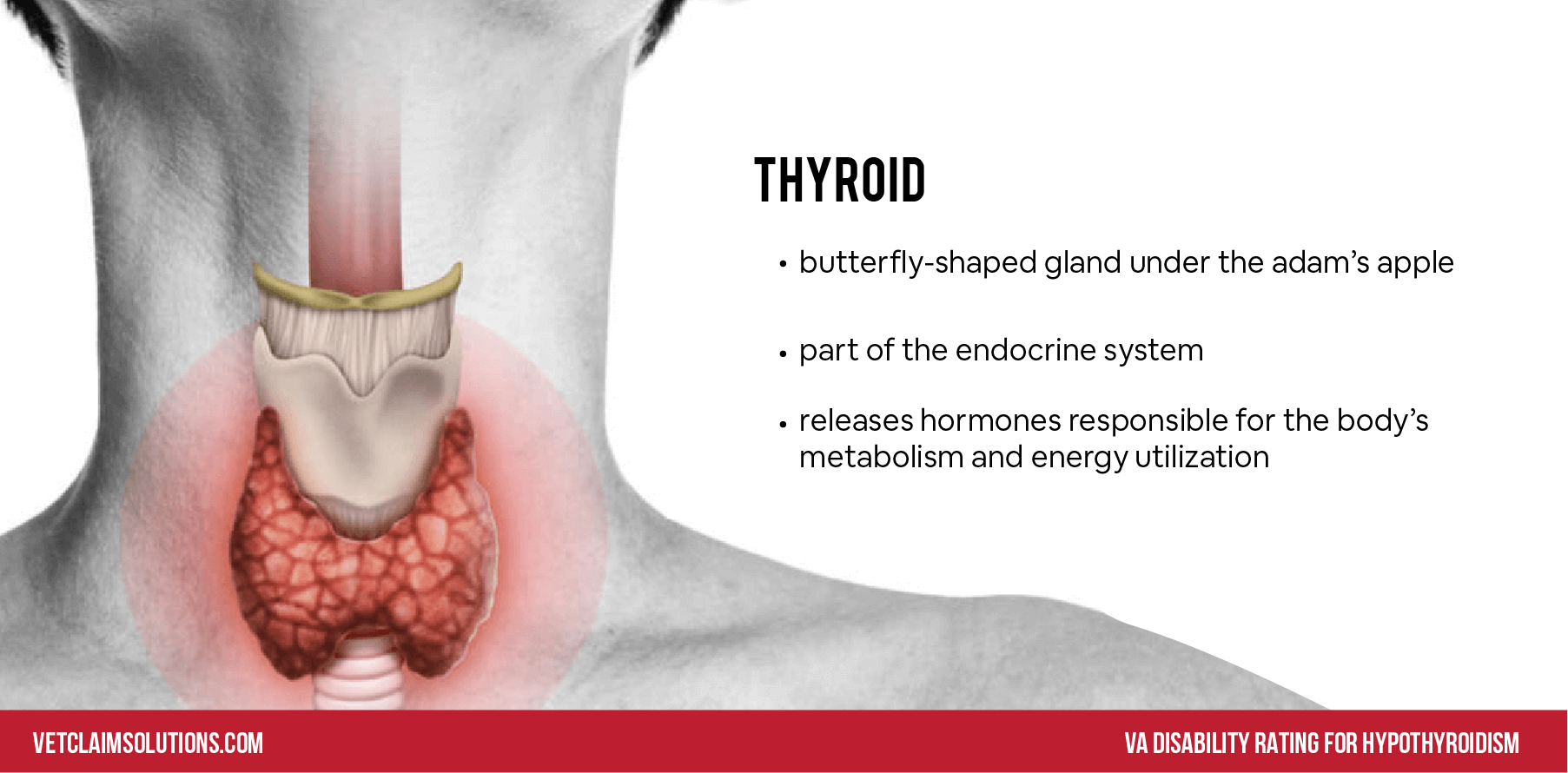 VA Disability Rating for Hypothyroidism VET CLAIM SOLUTIONS